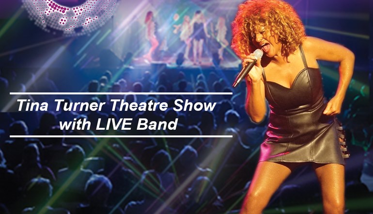 The Tina Turner Experience Show