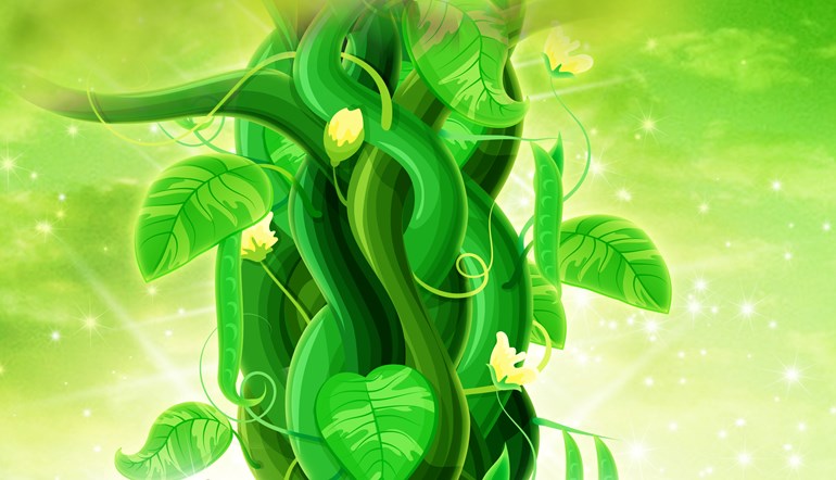 Jack and The Beanstalk