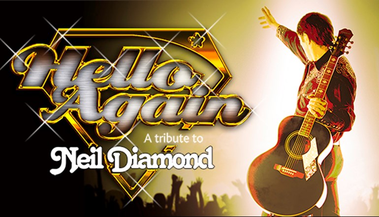 Hello Again...The Story of Neil Diamond